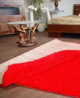 Koberce a koberečky Dywany Lusczow Kusový koberec SHAGGY Izebelie 5cm červený, velikost 120x170