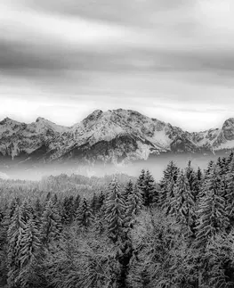 Černobílé tapety Fototapeta černobílé zmrzlé hory