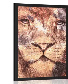 Zvířata Plakát tvář lva