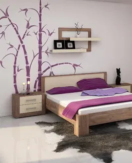 Postele ArtCross Manželská postel VIKI 10 | s roštem Barva: craft tobaco / krémový