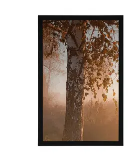 Příroda Plakát s paspartou mlhavý podzimní les