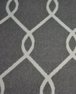 Koberce a koberečky Dywany Lusczow Kusový koberec SKETCH MARK šedý / bílý trellis, velikost 200x290