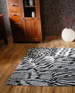 Koberce a koberečky Dywany Lusczow Kusový koberec BCF FLASH 33307/177, velikost 120x170