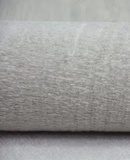 Koberce a koberečky Dywany Lusczow Kusový koberec SCANDI 18281/652- listy šedý / krémový, velikost 160x230