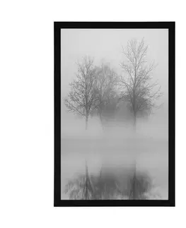 Černobílé Plakát stromy v mlze v černobílém provedení