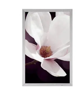 Květiny Plakát květ magnólie na abstraktním pozadí