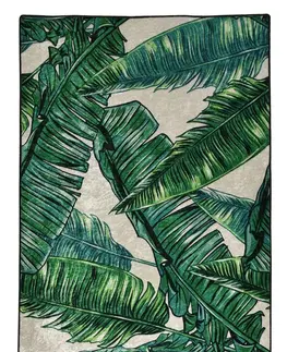 Koberce a koberečky Conceptum Hypnose Koberec Wild 160x230 cm zelený