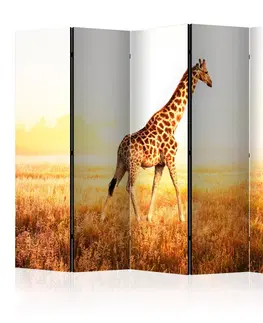 Paravány Paraván giraffe - walk Dekorhome 225x172 cm (5-dílný)