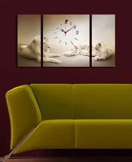 Obrazy Obraz s hodinami na plátně 3ks LVÍ RODINKA  20 x 45 (2), 40 x 45 cm (1)