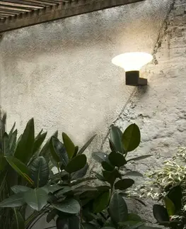 Moderní venkovní nástěnná svítidla FARO BLUBS nástěnná lampa, tmavě šedá