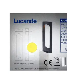 Zahradní lampy Lucande Lucande - LED Venkovní lampa FENTI LED/12W/230V IP65 