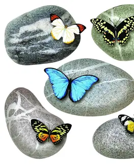 Samolepky na zeď Samolepicí dekorace Butterflies on Stones, 30 x 30 cm