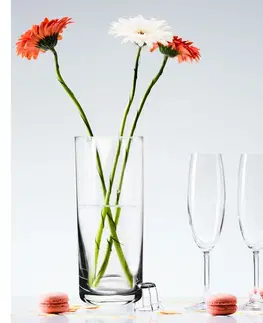 Vázy skleněné Crystalex Skleněná váza, 10,5 x 25,5 cm 