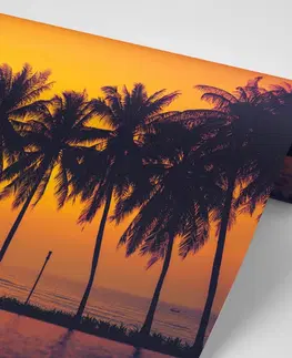 Samolepící tapety Samolepící tapeta západ slunce nad palmami