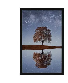 Příroda Plakát hvězdná obloha nad osamělým stromem