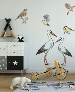 Příroda Kvalitní nálepka na zeď do dětského pokoje nebo školky ptáci