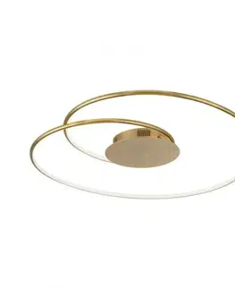 Designová stropní svítidla PAUL NEUHAUS LED stropní svítidlo zlaté stmívatelné teplá bílá do interiéru 3000K PN 6189-12