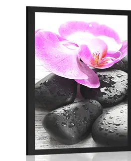 Feng Shui Plakát krásná souhra kamenů a orchideje