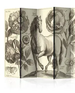 Paravány Paraván Horse Dekorhome 135x172 cm (3-dílný)