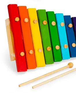 Hudební nástroje pro děti Dřevěný xylofon pro děti EcoToys barevný