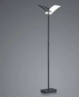 Stojací lampy HELL LED stojací lampa Dual CCT, stmívatelná, černá