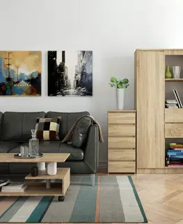Komody Ak furniture Komoda CL5 se zásuvkami 40 x 92 cm hnědá II