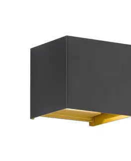 Venkovní nástěnná svítidla FISCHER & HONSEL Venkovní nástěnné svítidlo Thore LED, černá/zlatá barva, šířka 11 cm
