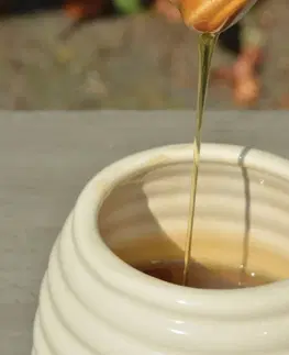Dózy na potraviny DekorStyle Keramická nádoba na med s lžičkou HODA bílá