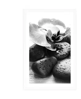 Černobílé Plakát s paspartou krásná souhra kamenů a orchideje v černobílém provedení