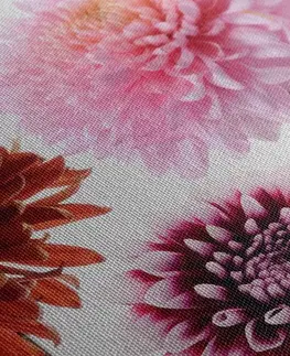 Obrazy květů Obraz květiny jiřiny v různobarevném designu