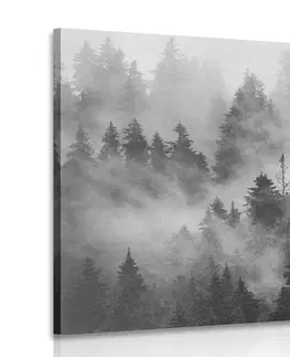 Černobílé obrazy Obraz hory v mlze v černobílém provedení