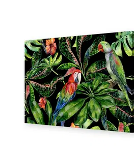 Obrazy a plakáty Obraz na płátně Tropical Birds