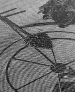 Černobílé obrazy Obraz kolo plný růží v černobílém provedení