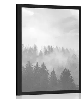 Černobílé Plakát mlha nad lesem v černobílém provedení