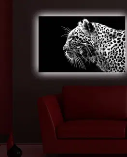 Obrazy Wallity Obraz s LED osvětlením LEVHART 44 45 x 70 cm