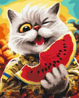 Zvířata Malování podle čísel odvážná kočka s melounem