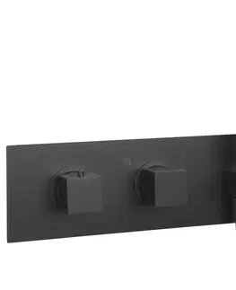 Koupelnové baterie SAPHO DIMY podomítková sprchová termostatická baterie s ruční sprchou, 2 výstupy,černá DM493BL