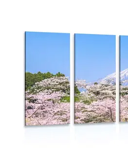Obrazy přírody a krajiny 5-dílný obraz sopka Fuji