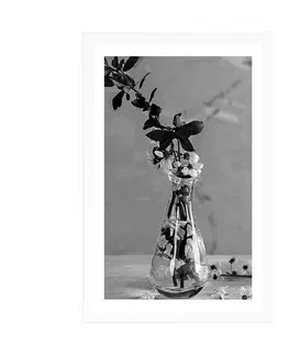 Černobílé Plakát s paspartou větvička třešně ve váze v černobílém provedení