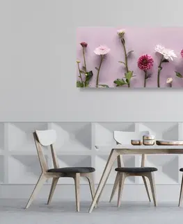 Obrazy květů Obraz kompozice růžových chryzantém
