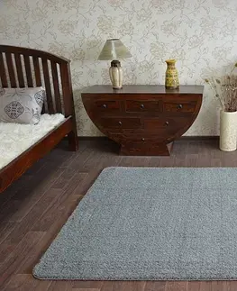Koberce a koberečky Dywany Lusczow Kusový koberec SHAGGY MICRO antracit, velikost 60x100