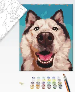 Zvířata Malování podle čísel selfie psa