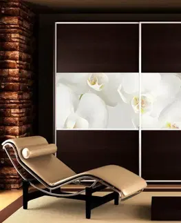 Tapety na nábytek Nálepky na skříň - BÍLÁ orchidej
