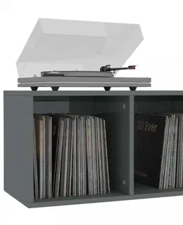 Úložné boxy Úložný box na LP desky dřevotříska Dekorhome Černá