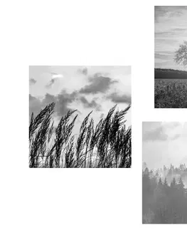 Sestavy obrazů Set obrazů kouzlo černobílé krajiny