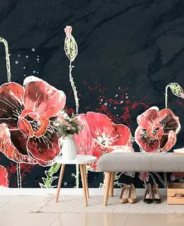 Tapety květiny Tapeta červené máky na černém pozadí