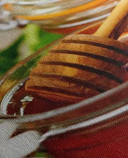 Obrazy jídla a nápoje Obraz hrnek medu