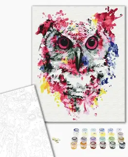 Zvířata Malování podle čísel pastelová sova