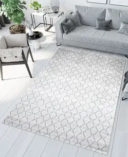 Moderní koberce Světle šedý moderní koberec s jednoduchým vzorem Šířka: 140 cm | Délka: 200 cm
