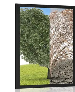 Příroda Plakát strom ve dvou podobách